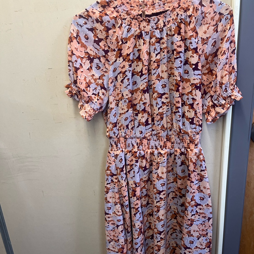 Madewell NWT spring time cute floral dress size XS